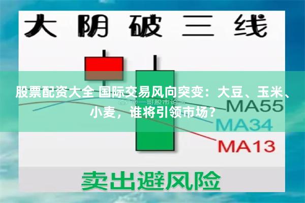 股票配资大全 国际交易风向突变：大豆、玉米、小麦，谁将引领市场？