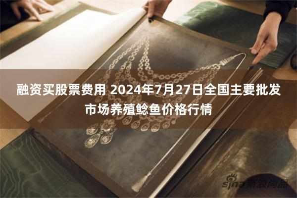 融资买股票费用 2024年7月27日全国主要批发市场养殖鲶鱼价格行情