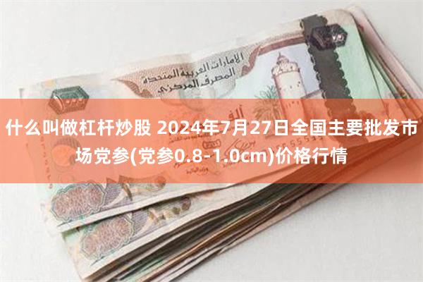 什么叫做杠杆炒股 2024年7月27日全国主要批发市场党参(党参0.8-1.0cm)价格行情