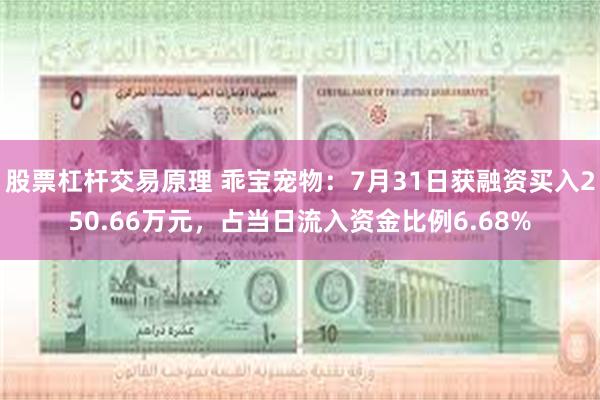 股票杠杆交易原理 乖宝宠物：7月31日获融资买入250.66万元，占当日流入资金比例6.68%