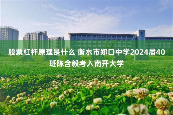 股票杠杆原理是什么 衡水市郑口中学2024届40班陈含毅考入南开大学