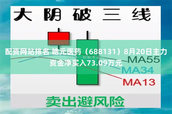 配资网站排名 皓元医药（688131）8月20日主力资金净买入73.09万元