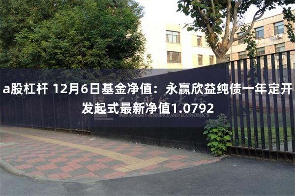 a股杠杆 12月6日基金净值：永赢欣益纯债一年定开发起式最新净值1.0792