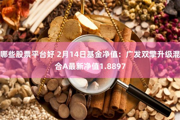 哪些股票平台好 2月14日基金净值：广发双擎升级混合A最新净值1.8897